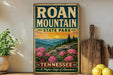 A vintage-style metal sign for Roan Mountain State Park in Tennessee, featuring a scenic landscape with mountains, pine trees, and pink flowers.