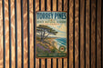 A vintage-style metal sign for Torrey Pines State Natural Reserve in California, featuring a scenic landscape with a pine tree and ocean in the background.