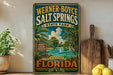 A vintage-style sign for Werner-Boyce Salt Springs State Park in Florida, featuring a tropical landscape with palm trees, a lake, and a bird.