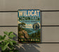 A vintage metal sign for Wildcat Mountain State Park in Wisconsin, featuring a scenic landscape with a mountain, pine trees, and a lake.