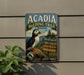 A metal sign on a wall that reads "ACADIA BIRDING TRAIL MAINE" with a puffin bird illustration.
