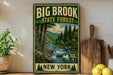 A vintage-style sign for the Big Brook State Forest in New York, featuring a scenic illustration of a forest and a river.