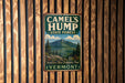 CAMEL'S HUMP - STATE FOREST - VERMONT