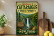 A vintage-style metal sign welcoming visitors to the Cataraeus State Forest in New York, featuring a scenic image of a waterfall surrounded by lush greenery.