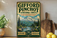 a vintage-style sign for Gifford Pinchot National Forest in Washington, with a mountain landscape and a river in the background. The sign also includes the words "Explore" and "Discover" at the bottom.