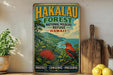 A vintage-style sign for the Hakaau Forest National Wildlife Refuge in Hawaii, featuring a colorful illustration of a bird and lush greenery.