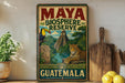 A vintage-style poster advertising the Maya Biosphere Reserve in Guatemala, featuring a toucan, a jaguar, and a pyramid surrounded by lush tropical foliage.