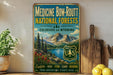 a vintage-style metal sign advertising Medicine Bow-Rout National Forests in Colorado and Wyoming, with a scenic mountain landscape and a lake in the background.