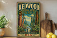 A vintage-style sign for Redwood National and State Parks in Northern California, USA, featuring a scenic illustration of a forest with towering redwood trees and a winding path.