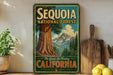 A vintage-style metal sign for Sequoia National Forest in California, featuring a large tree and mountains in the background.