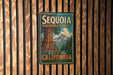 A vintage metal sign with the text "SEQUOIA NATIONAL FOREST" and "The Giants Are Waiting" hangs on a wooden wall.