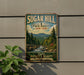A vintage-style metal sign for Sugar Hill State Forest in New York, featuring a scenic landscape with pine trees, a river, and mountains.