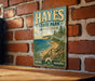 A vintage-style metal sign for Hayes State Park, Michigan, featuring a scenic landscape with a beach, mountains, and a wooden staircase.