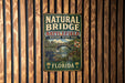 A vintage metal sign for Natural Bridge Battlefield Historic State Park in Florida, featuring a scenic illustration of the park's landscape.