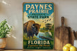 A vintage-style sign for the Payne Prairie Preserve State Park in Florida, featuring an illustration of a bison and various wildlife in a natural setting.