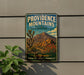A vintage-style metal sign for the Providence Mountains State Recreation Area in California, featuring a desert landscape with a cactus and mountains in the background.