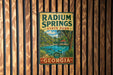A vintage metal sign for Radium Springs State Park in Georgia, featuring a scenic image of the park's lake and surrounding landscape.