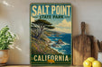 A vintage-style poster of Salt Point State Park in California, featuring a scenic coastal landscape with a pine tree, ocean, and mountains.