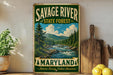 A vintage-style sign for Savage River State Forest in Maryland, featuring a scenic illustration of a river surrounded by pine trees and mountains.