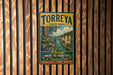 A vintage metal sign for Torreya State Park, featuring a scenic illustration of a river and lush vegetation, mounted on a wooden wall.