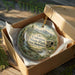 A decorative ornament in a cardboard box, featuring a scenic landscape with a waterfall and a wooden cabin, with the text "Coleman State Park, New Hampshire" printed on it.