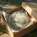 An ornament in a cardboard box, featuring a scenic landscape with pine trees, mountains, and a river.
