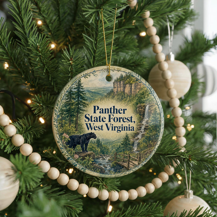A Christmas tree decorated with ornaments, including a round ornament with a scenic image of the Panther State Forest in West Virginia.