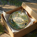 A decorative ornament in a box, featuring a scenic image of Mammoth Spring State Park in Arkansas.