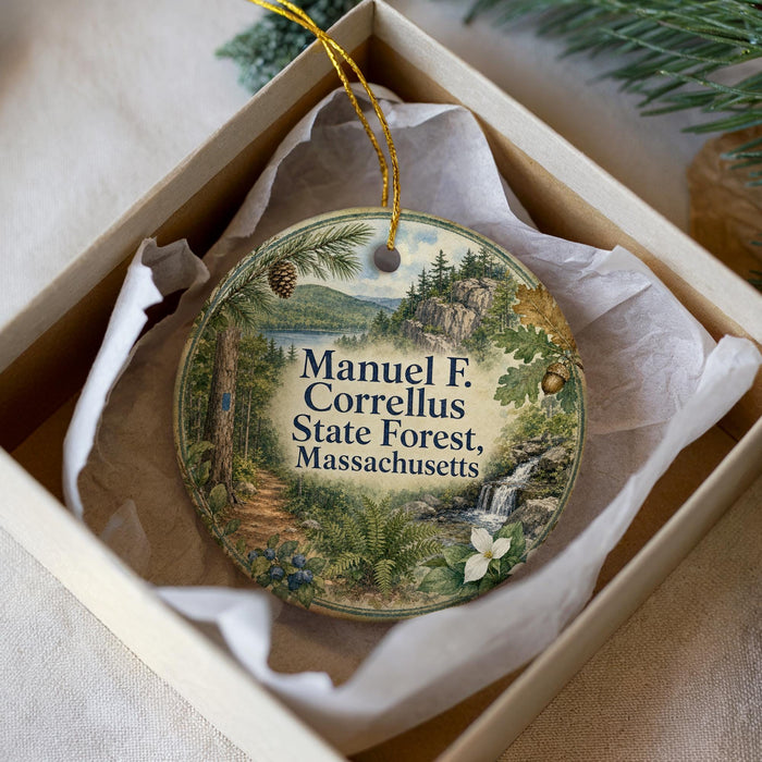 A round ornament with a scenic forest landscape, featuring pine trees, a waterfall, and a pine tree. The ornament is placed in a white box with a gold string.