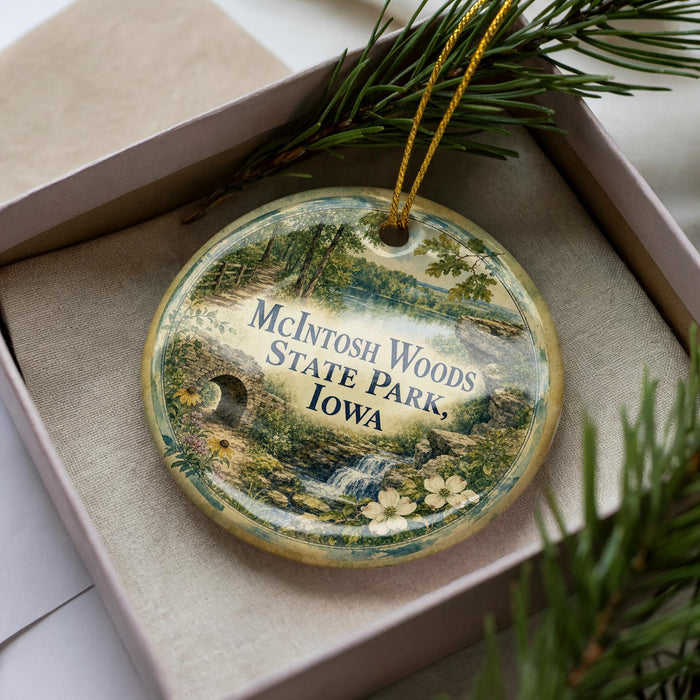 A decorative ornament in a box, featuring a scenic landscape with a waterfall and pine trees.