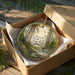 A round ornament in a box, featuring a scenic image of Portola Redwoods State Park in California.