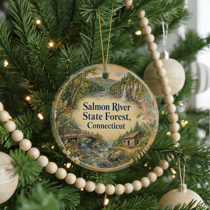 A Christmas tree decorated with ornaments, including a round ornament with a scenic image of the Salmon River State Forest in Connecticut.