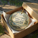 A decorative ornament in a wooden box, featuring a scenic landscape with a bird and trees, with the text "Selden Neck State Park, Connecticut" printed on it.