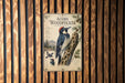 a poster of an acorn woodpecker, which is mounted on a wooden wall.