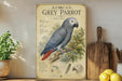 a poster of an African Grey parrot, with a detailed illustration of the bird perched on a branch. The poster includes text and illustrations related to the species, such as its habitat, physical features, and scientific name. The poster is displayed on a shelf next to a wooden cutting board and a potted plant, creating a homely and decorative setting.