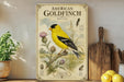 A vintage-style poster of an American Goldfinch, featuring a detailed illustration of the bird perched on a thistle plant, is displayed on a shelf next to a wooden cutting board and a potted plant.