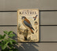 a vintage-style metal sign with illustrations and text about the American Kestrel, a bird of prey.