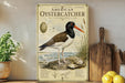 a vintage-style illustration of an American Oystercatcher, a bird with a distinctive black and white plumage, standing on a rock near the ocean. The illustration is accompanied by text that provides information about the bird, including its habitat, diet, and behavior. The image is displayed on a wall, with a potted plant, a wooden cutting board, and some lemons arranged nearby.