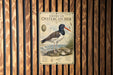 a vintage-style metal sign with an illustration of an American oystercatcher, mounted on a wooden wall.