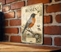 a vintage-style illustration of an American robin, with detailed illustrations of the bird, its nest, and surrounding foliage.