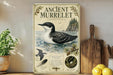 a vintage-style poster or book cover with illustrations and text about the ancient murrelet, a type of bird.