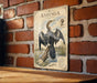 a vintage-style illustration of a bird, specifically Anhinga, perched on a log against a brick wall.