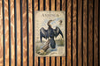 a poster of an Anhinga, a large wading bird, with a detailed illustration of the bird and its natural habitat.