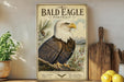 A framed vintage-style poster of a bald eagle is displayed on a shelf, with a wooden cutting board and a potted plant to the side.