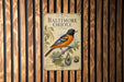 A poster of a Baltimore Oriole bird is displayed on a wooden wall.