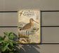 a metal sign with a detailed illustration of a bar-tailed godwit, a type of wading bird, standing in shallow water.