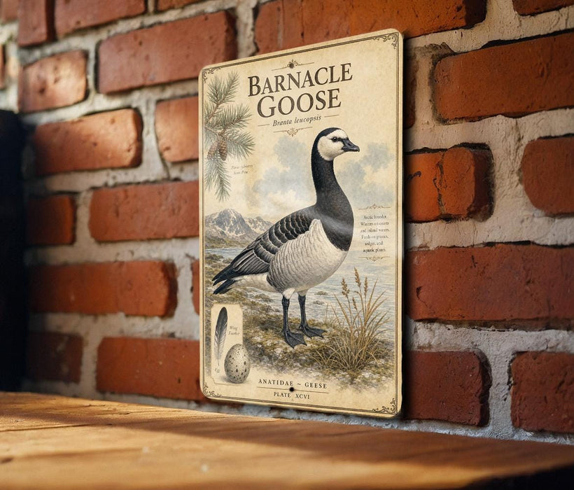 a vintage-style metal sign with a detailed illustration of a barnacle goose, mounted on a brick wall.