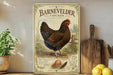 A vintage-style poster of a Barneweller chicken is displayed on a shelf, surrounded by kitchen utensils and a potted plant.