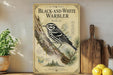 A framed illustration of a black and white warbler perched on a pine branch, with text describing the bird species.