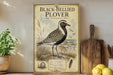 a framed illustration of a black-bellied plover bird, which is a type of shorebird, standing on a beach. The bird is depicted in a detailed and realistic manner, with its distinctive black and white plumage and beak. The framed artwork is displayed on a shelf, surrounded by various kitchen utensils and items, such as a wooden cutting board, a knife, and a bowl.